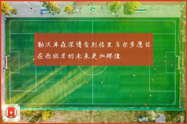 勒沃库森深情告别格里马尔多愿你在西班牙的未来更加辉煌